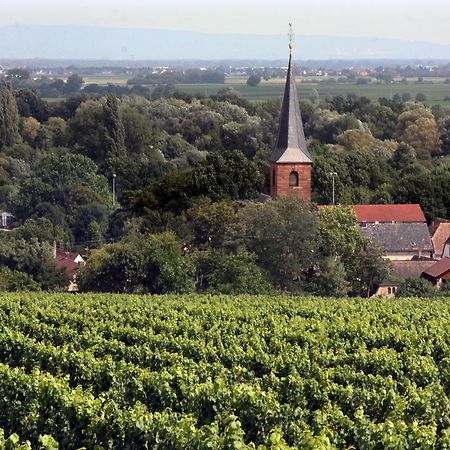 Weinstube Schwarzamsel Leilighet Speyer Eksteriør bilde