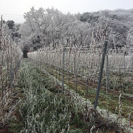 Weinstube Schwarzamsel Leilighet Speyer Eksteriør bilde