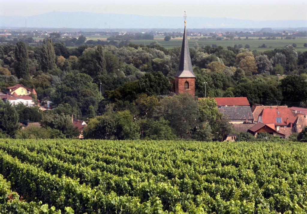 Weinstube Schwarzamsel Leilighet Speyer Eksteriør bilde