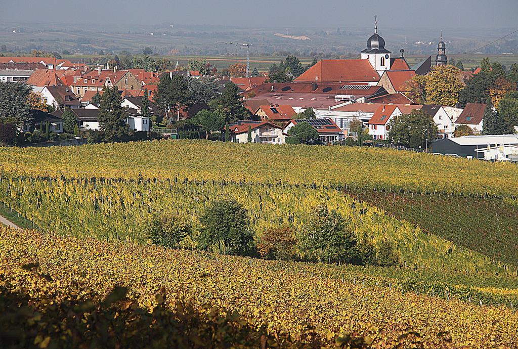 Weinstube Schwarzamsel Leilighet Speyer Eksteriør bilde